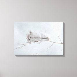 Lienzo Elegante Pluma Gris En Rama