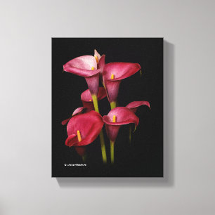 Lienzo Elegante púrpura Calla Lilies