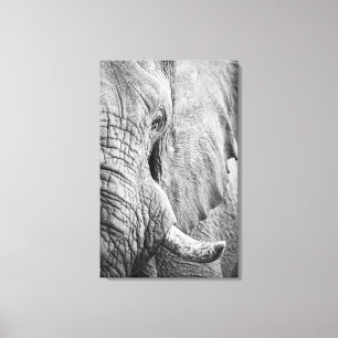 Lienzo Elephant Eye