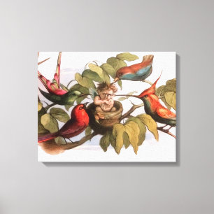 Lienzo Elf Bird Sprite Pixie Brownie Fairy Tale