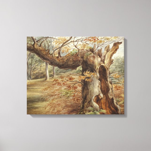 Lienzo Elizabeth Murray - Árbol giratorio (Anverso)