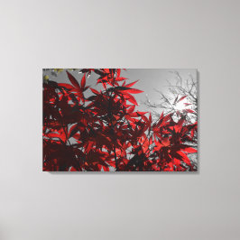 Lienzo Embers of Autumn