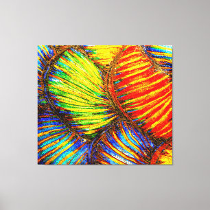 Lienzo En el mar místico