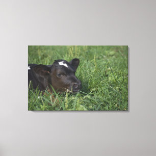 Lienzo En zodiaco chino, 2009 es año de buey