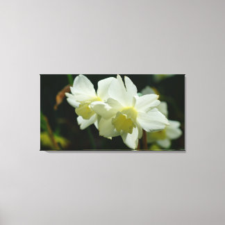 Lienzo Encantador en blanco