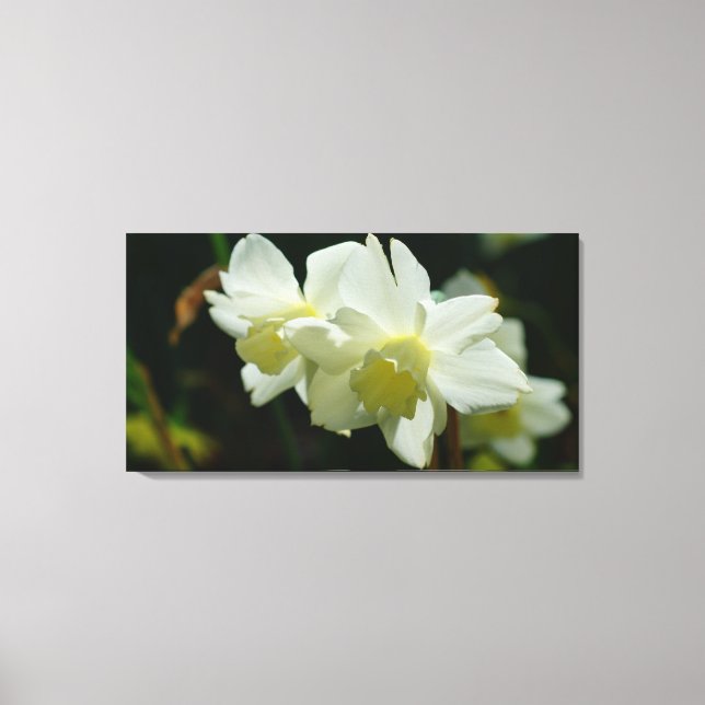 Lienzo Encantador en blanco (Anverso)