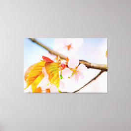 Lienzo Encantadoras flores y hojas de Sakura elegantes en