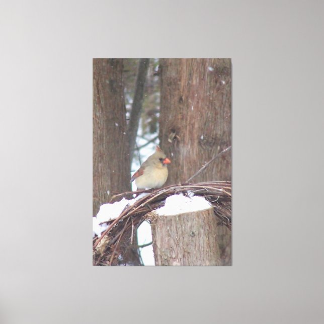 Lienzo Encaramado con belleza (Anverso)