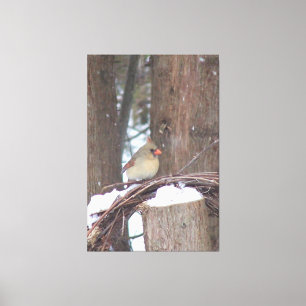 Lienzo Encaramado con belleza