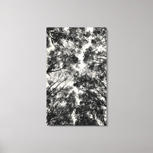 Lienzo Encima a través de los árboles, imágenes del SV