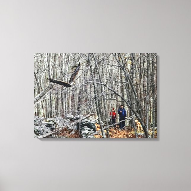 Lienzo Encuentro de águila calva (Anverso)