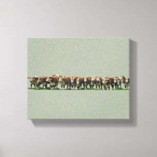 Lienzo Encuesta Herefords