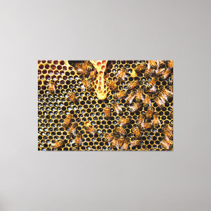 Lienzo enjambre de abejas sobre el pepino de miel