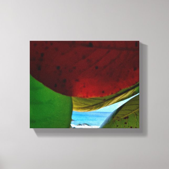 Lienzo Enmarcado por la naturaleza - Hojas tropicales y l (Anverso)