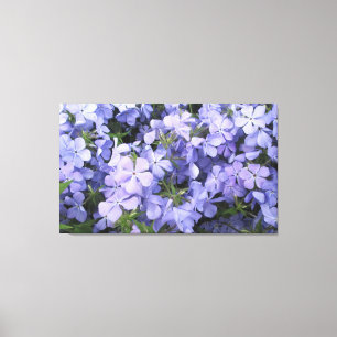 Lienzo - Envuelto - Azul Phlox l