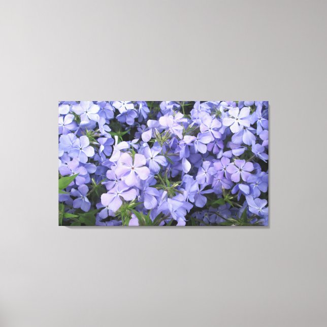 Lienzo - Envuelto - Azul Phlox l (Anverso)