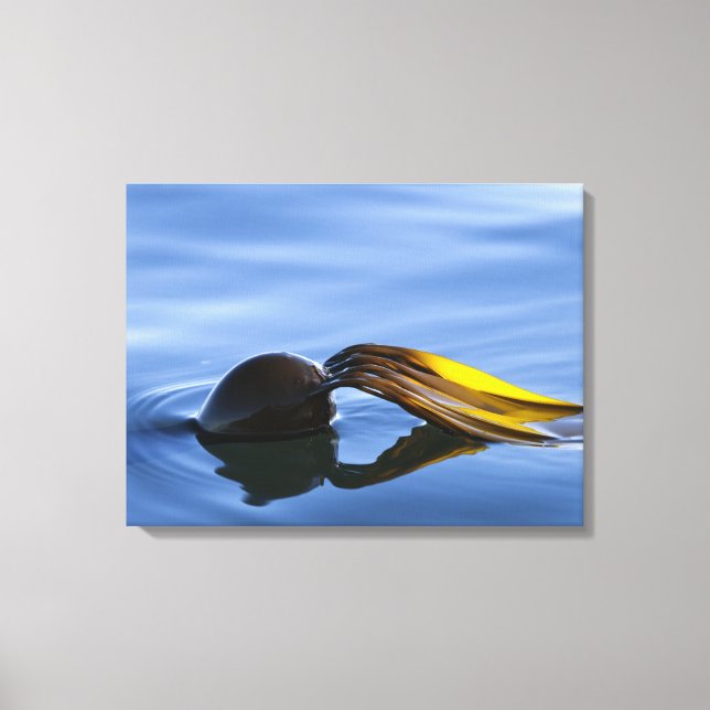 Lienzo envuelto con frondas doradas (Anverso)