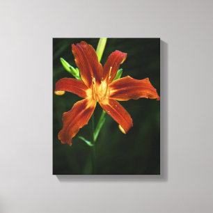 Lienzo envuelto con llama de jardín