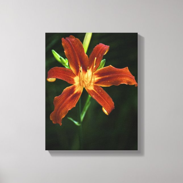 Lienzo envuelto con llama de jardín (Anverso)