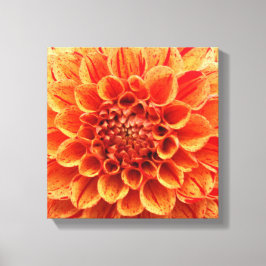 Lienzo envuelto de 12" x 12" - Flor Naranja