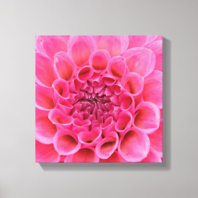 Lienzo envuelto de 12" x 12" - Flor rosa (Anverso)