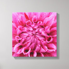 Lienzo envuelto de 12" x 12" - Flor rosa