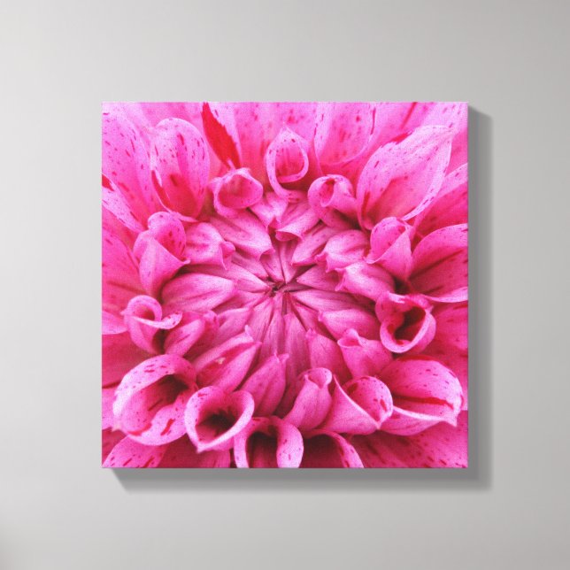 Lienzo envuelto de 12" x 12" - Flor rosa (Anverso)