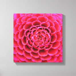 Lienzo envuelto de 12" x 12" - Flor rosa caliente