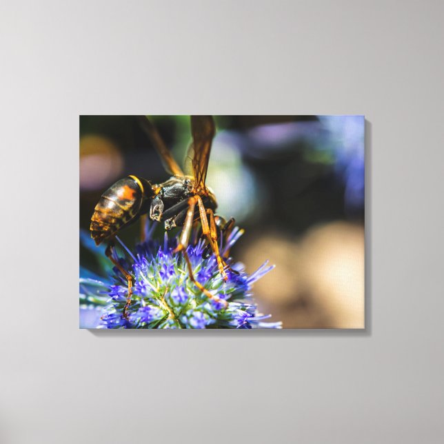 Lienzo envuelto de 24" x 18", 1,5" (Anverso)