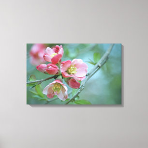 Lienzo envuelto de Apple Blossom #P0356