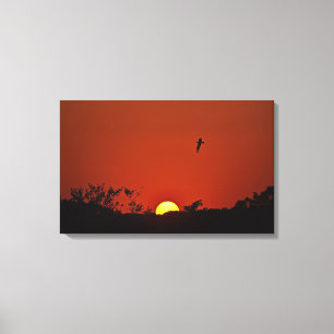 Lienzo envuelto de atardecer sobre pantano