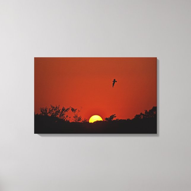 Lienzo envuelto de atardecer sobre pantano (Anverso)