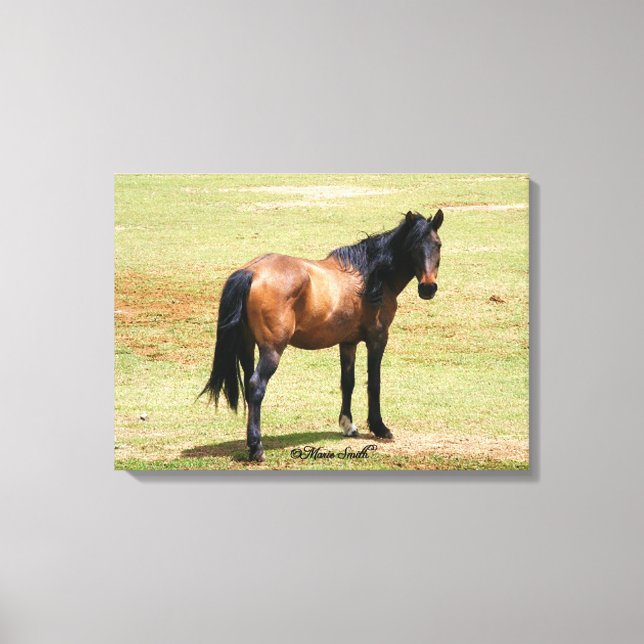 Lienzo envuelto de belleza (Anverso)