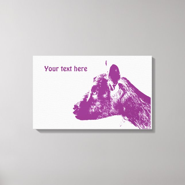 Lienzo envuelto de cabra morada (Anverso)