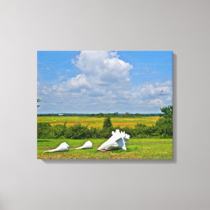 Lienzo envuelto de conchas