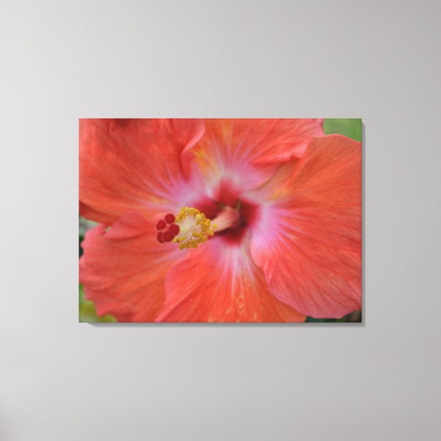 Lienzo Envuelto de Hibisco Naranja (Anverso)