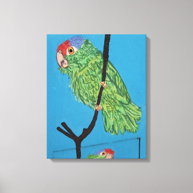 lienzo envuelto de loro verde (Anverso)