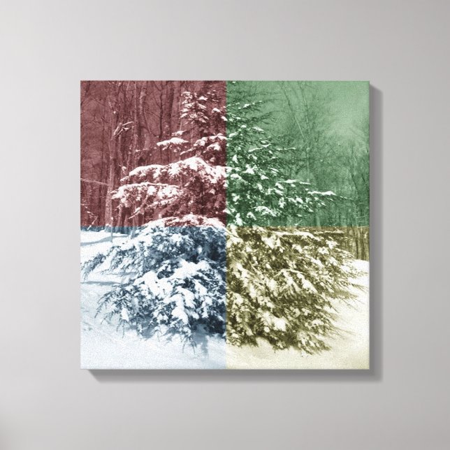 Lienzo envuelto de nieve (Anverso)
