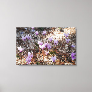 Lienzo envuelto en ciclamen