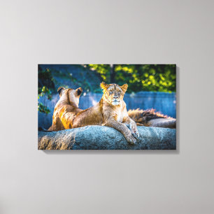 Lienzo envuelto en Giclee premium