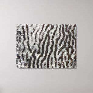 Lienzo envuelto en KELP   m3galleryStudio