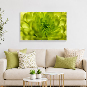 Lienzo Envuelto en Verde Chartreuse Mum