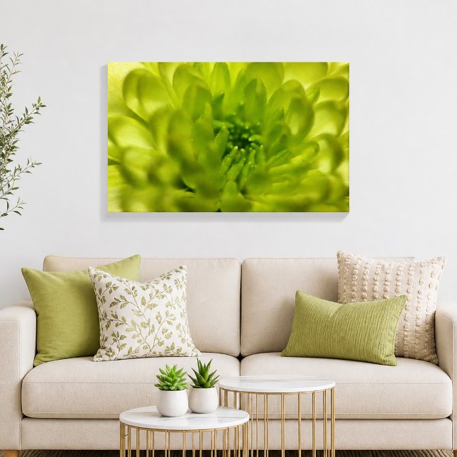 Lienzo Envuelto en Verde Chartreuse Mum (Chartreuse Green Mum Wrapped Canvas Print)