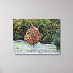 LIENZO ENVUELTO IMPRESO/ÁRBOL MULTICOLOR EN CAMPO