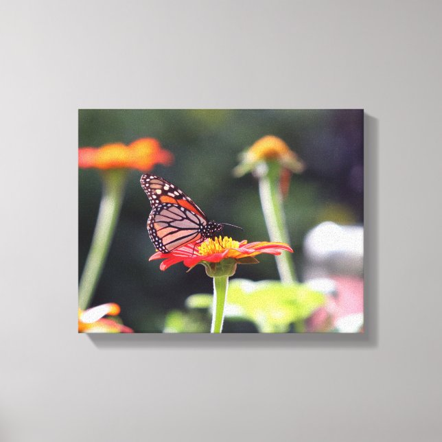 Lienzo Envuelto Mariposa (Anverso)