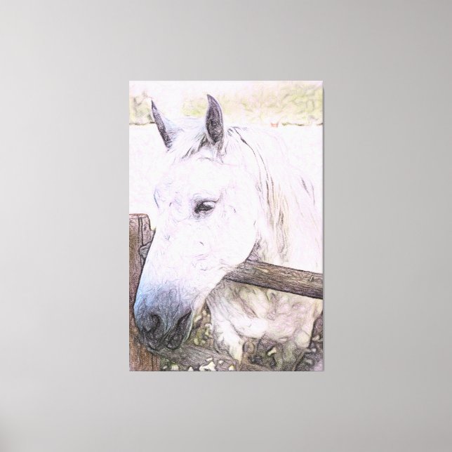 Lienzo *~* Equine AR22 Caballo blanco sobre valla de made (Anverso)