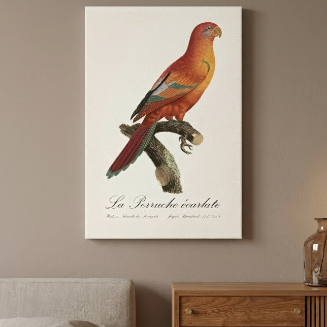 Lienzo Erecartado de Le Perruche (Red Lory or Eos Bornea, Trichoglossus borneus. Canvas Print)