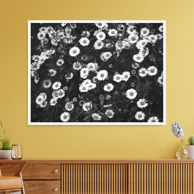 Lienzo Erigeron Daisies Canvas Print (Insitu (Sala de estar))