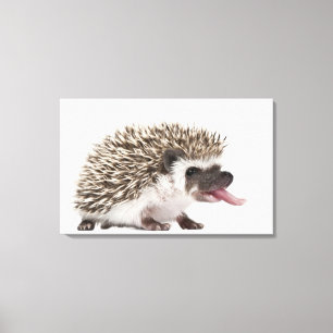 Lienzo erizo Cuatro-tocado con la punta del pie -