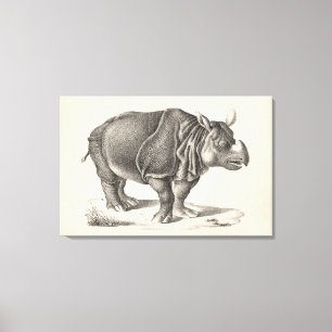 Lienzo Esbozo de Brodtmann Rhinoceros